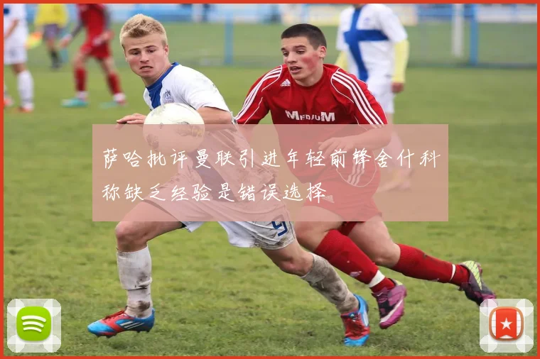萨哈批评曼联引进年轻前锋舍什科称缺乏经验是错误选择